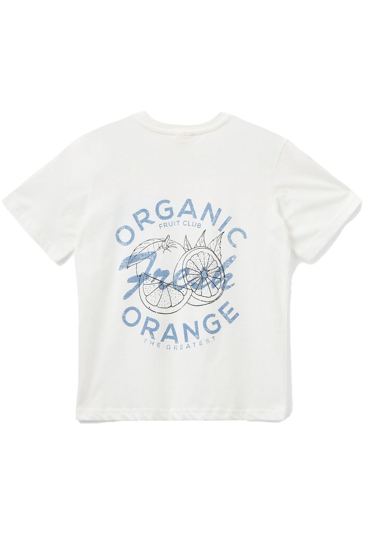 Zenasy T-Shirt Fresh