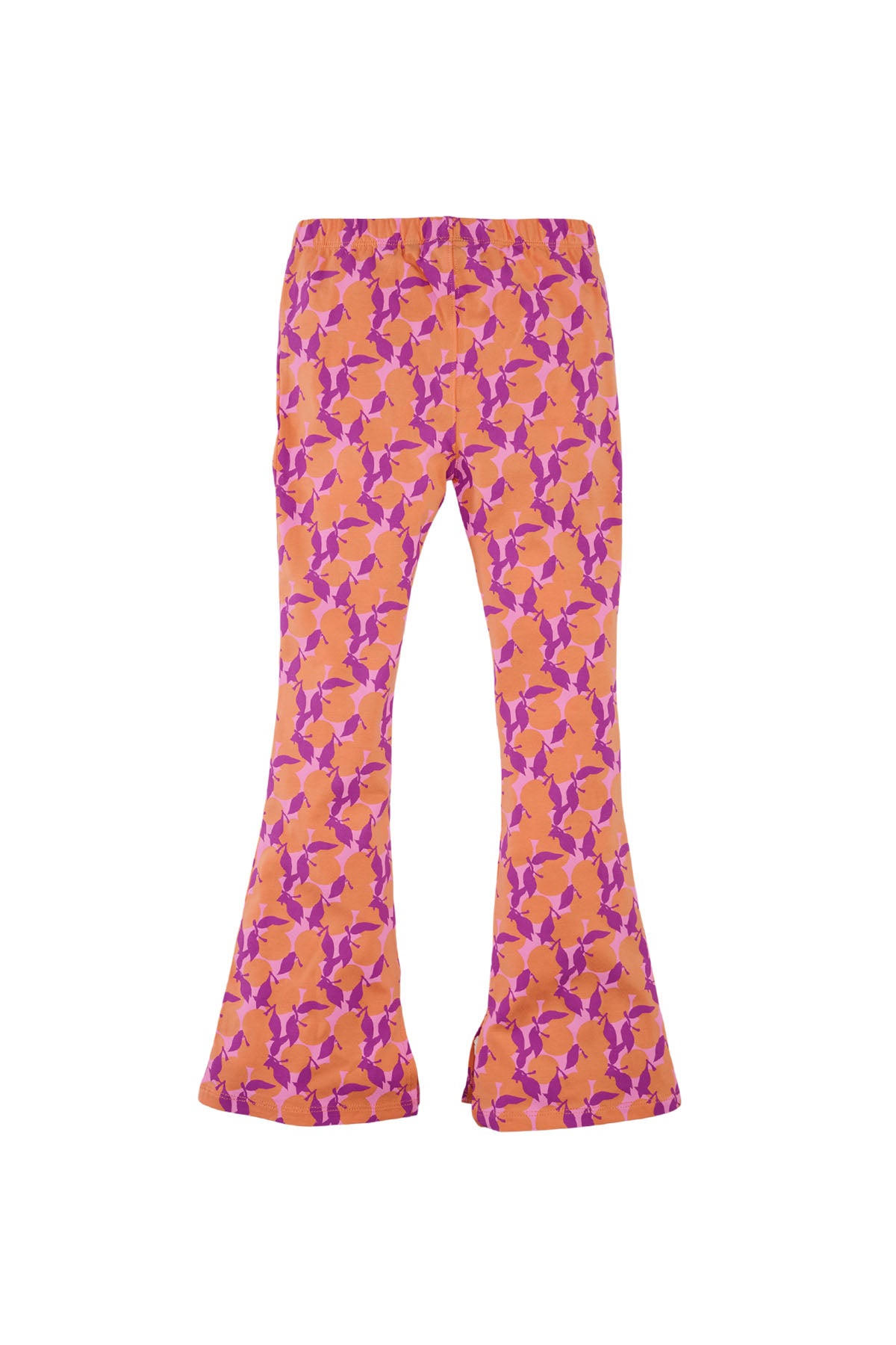 Nerina Broek - Z8 Limited