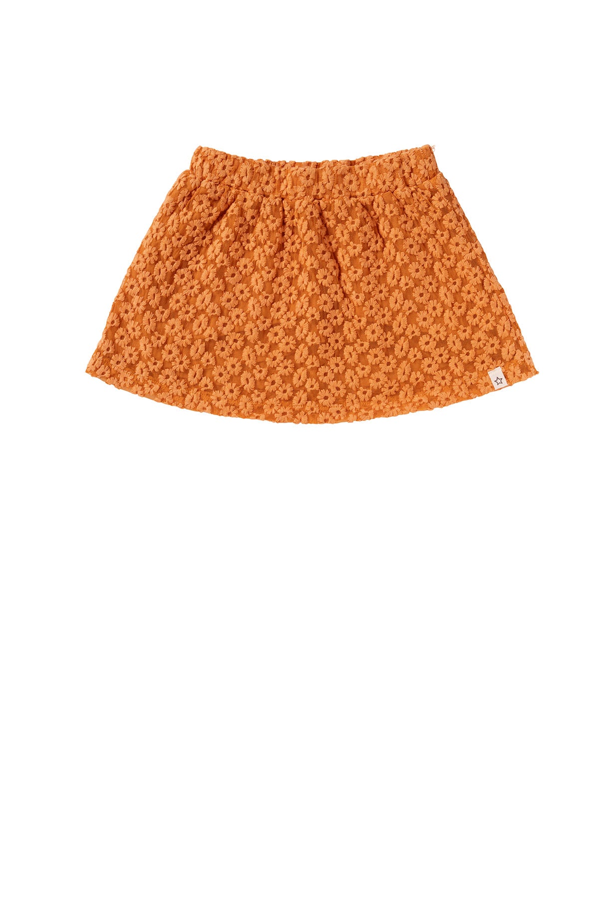 Embroidered Tulle Skirt