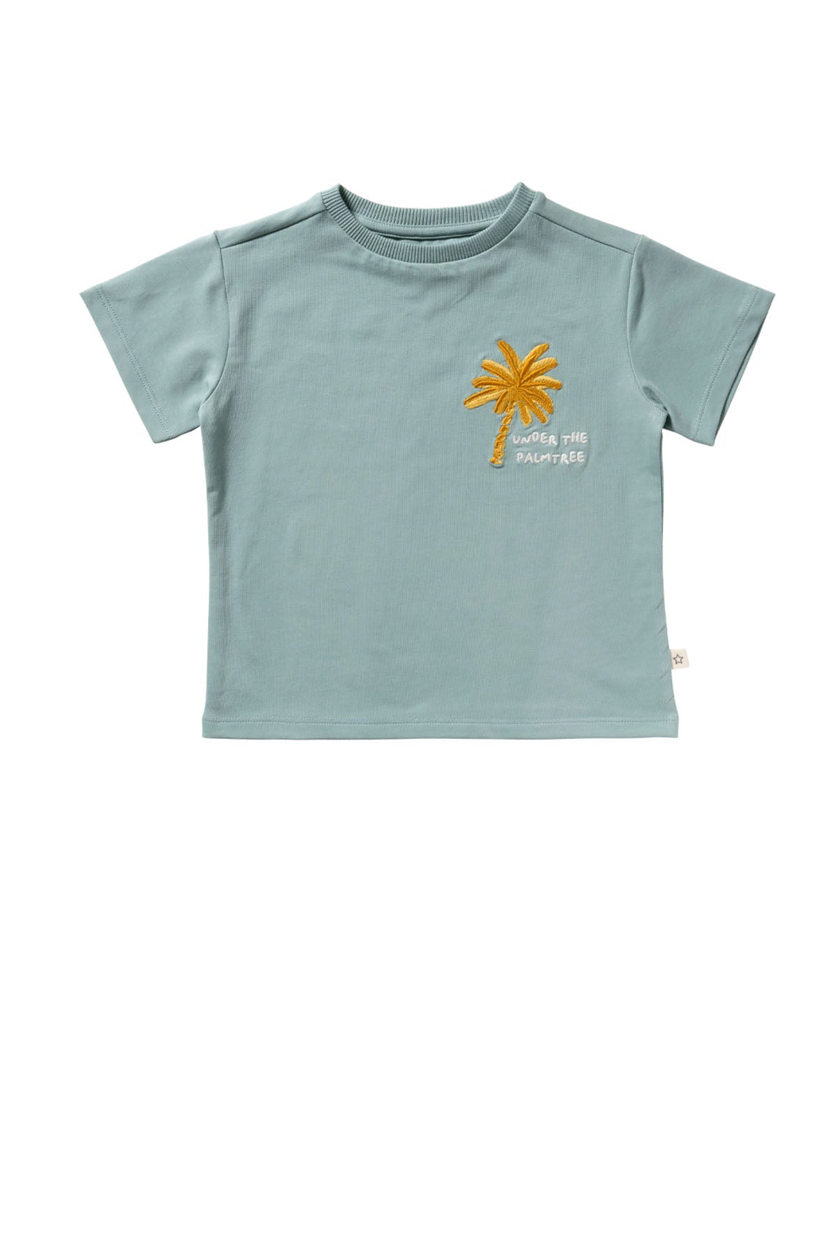 Palmtrees Oversized Tee