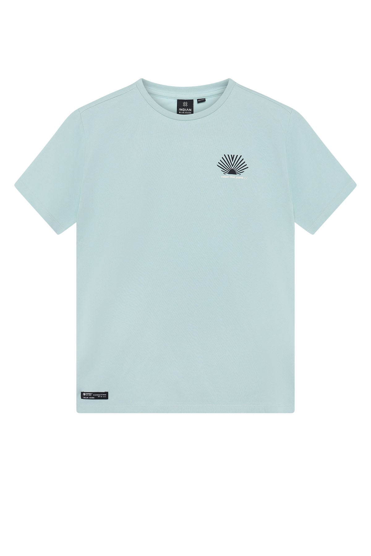 Loose Fit T-Shirt Indian