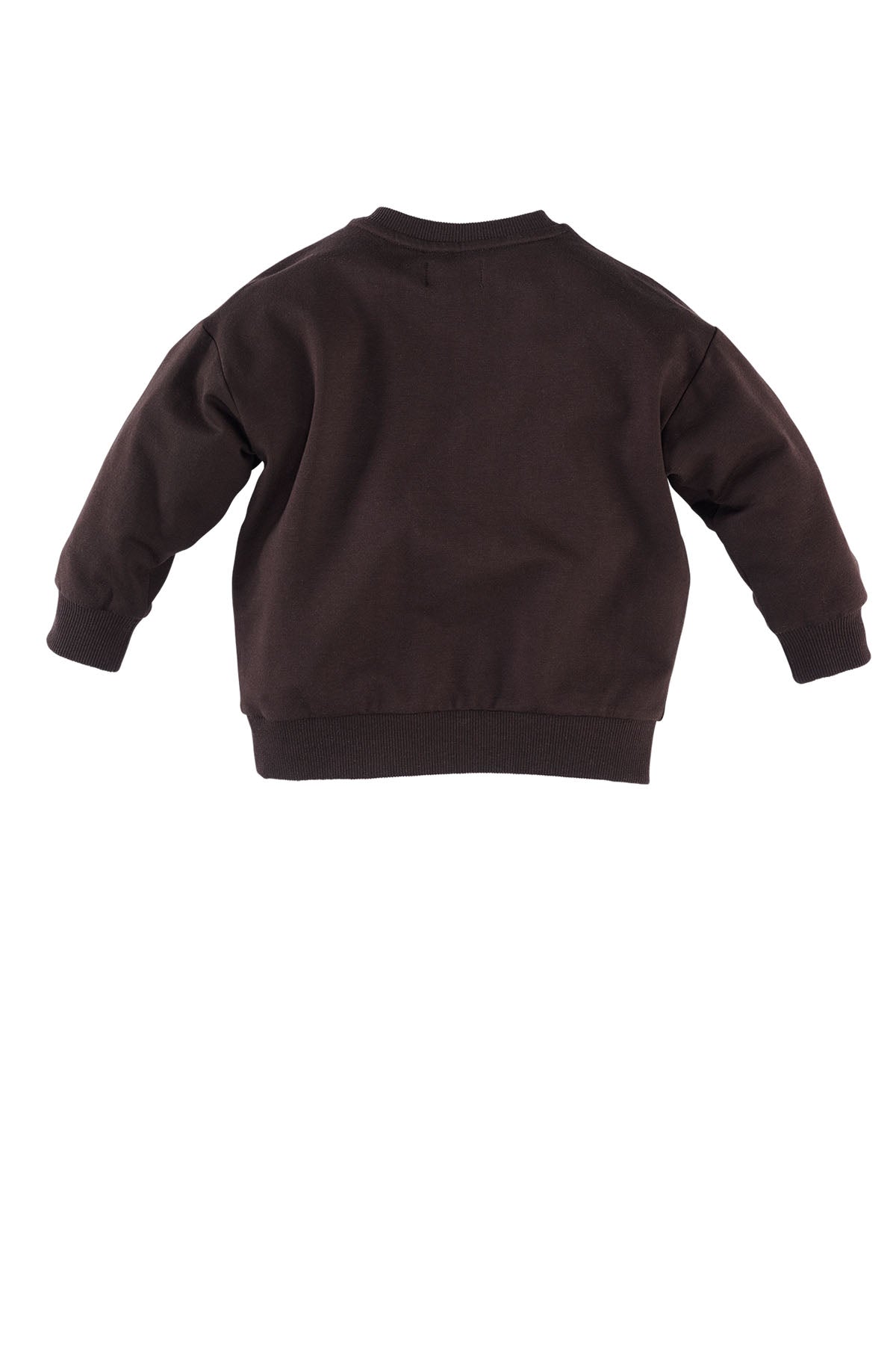 Janoah Chocolate plum Sweater