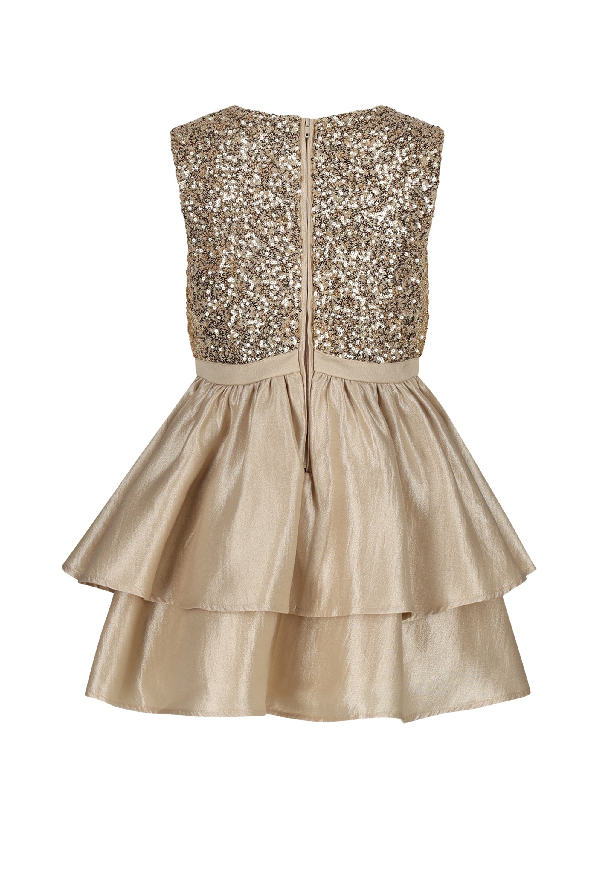 SHINY two-layered skirt dress