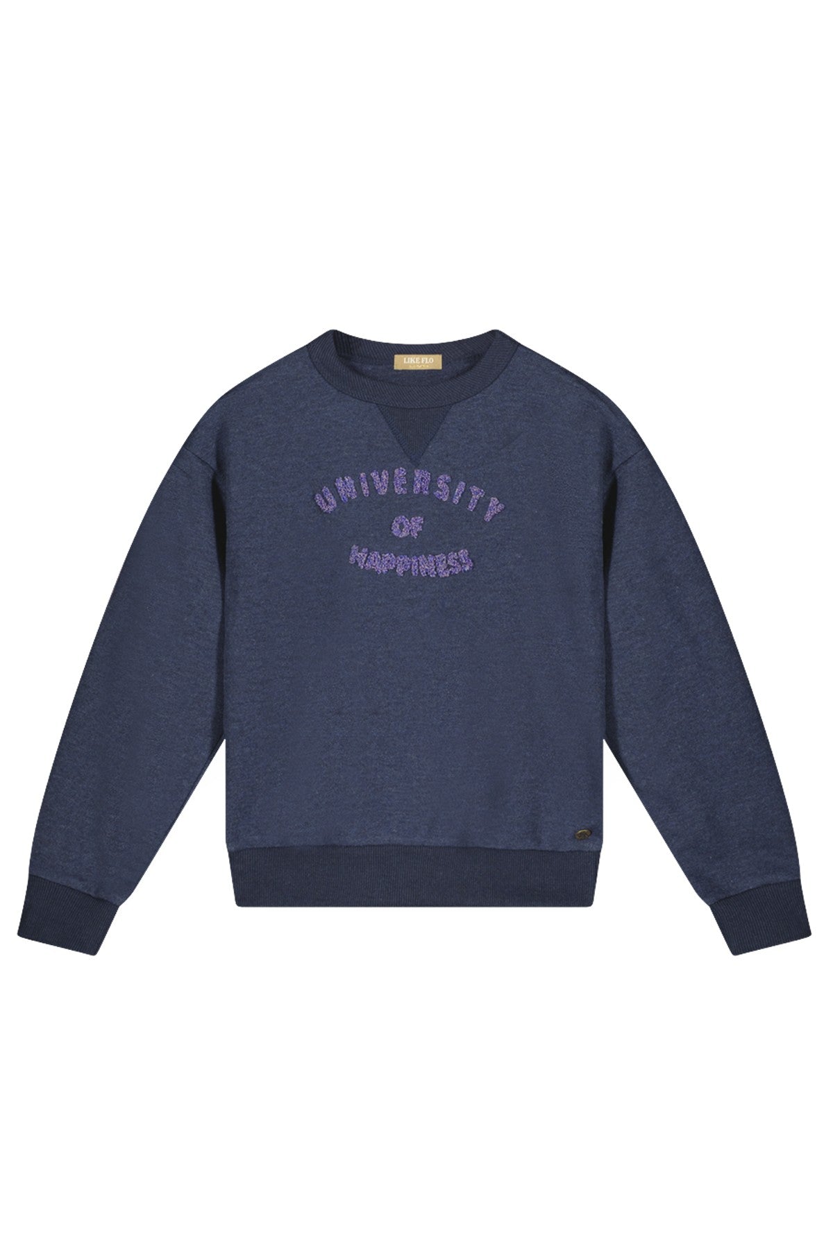 Demi Like Flo Tiener sweater, blauw, meisjeskleding