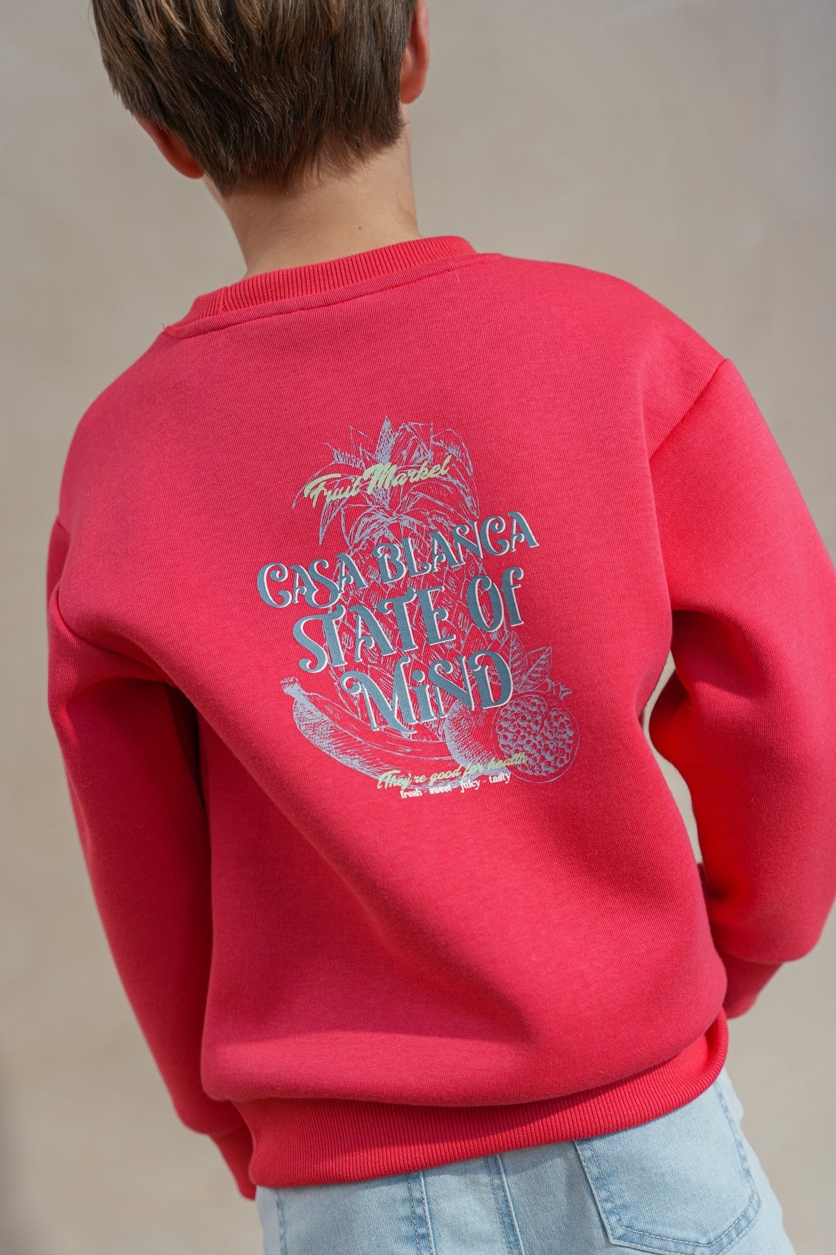 Dailey Flo boys sweater