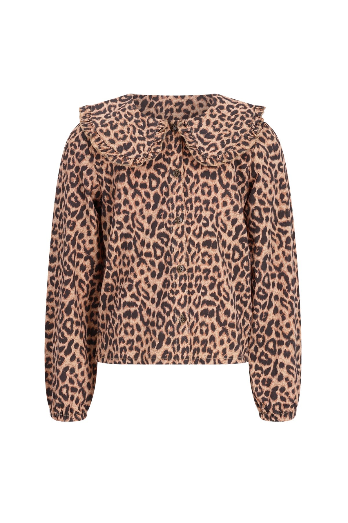 Celine chambrey blouse with collar