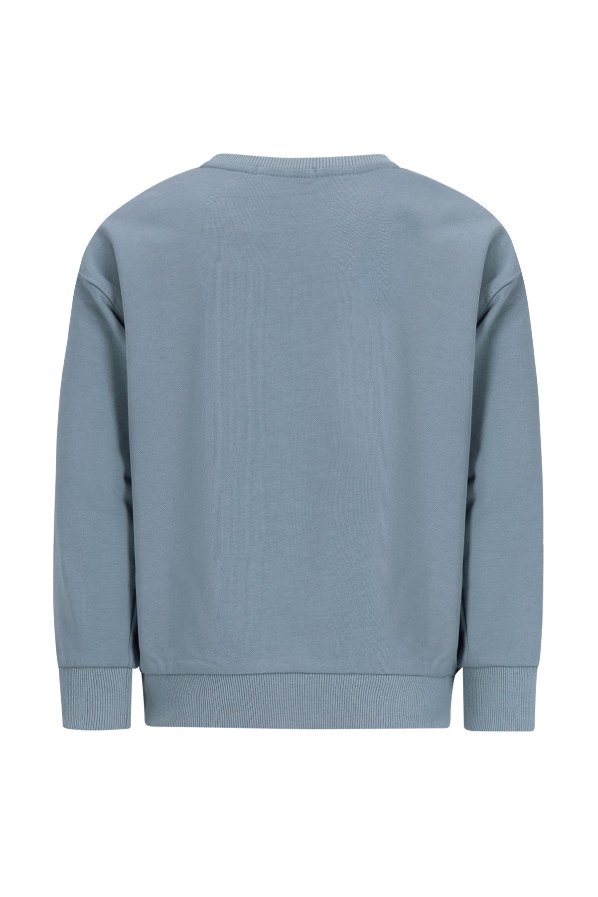 Dail crewneck sweater