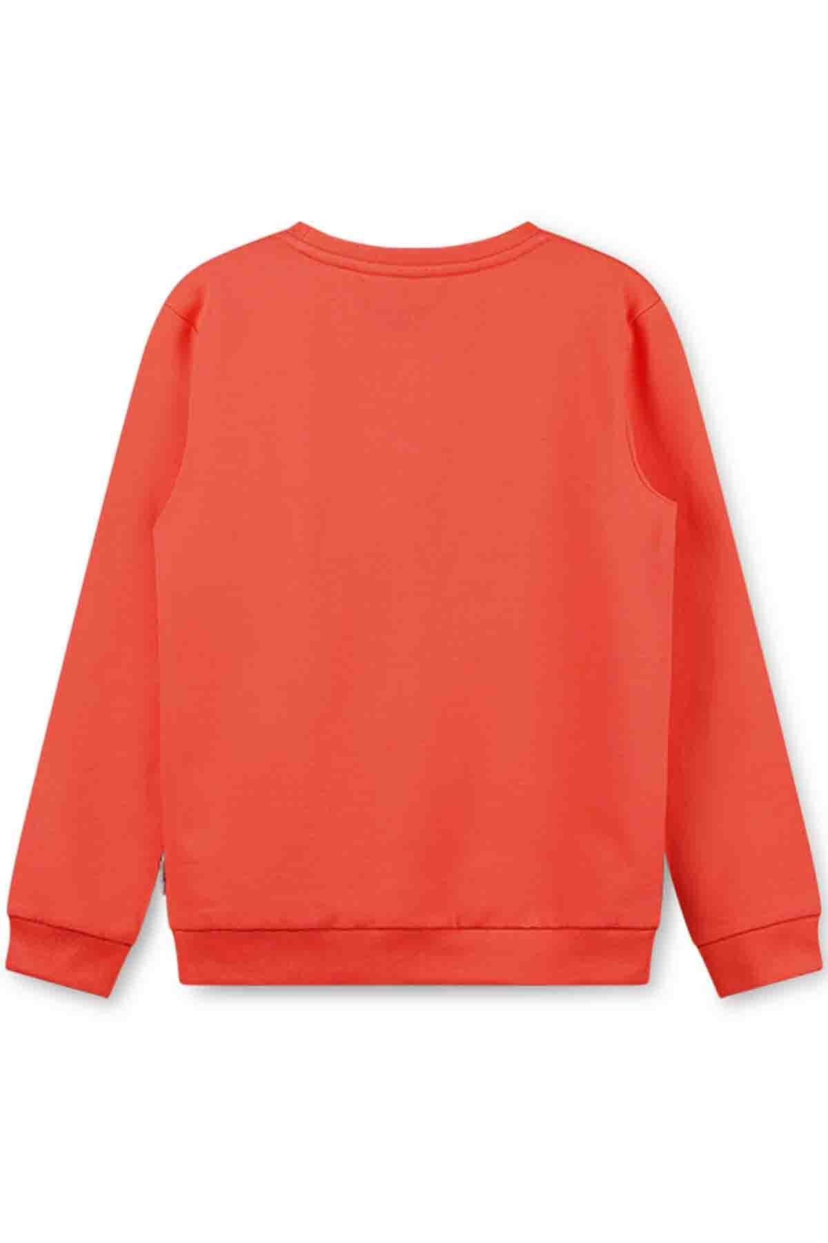 Sweater Chest print