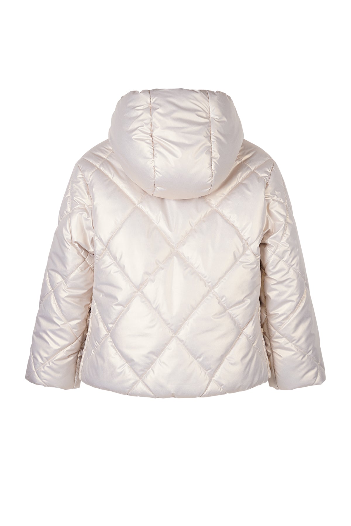 Button Hooded Short Winter Jacket