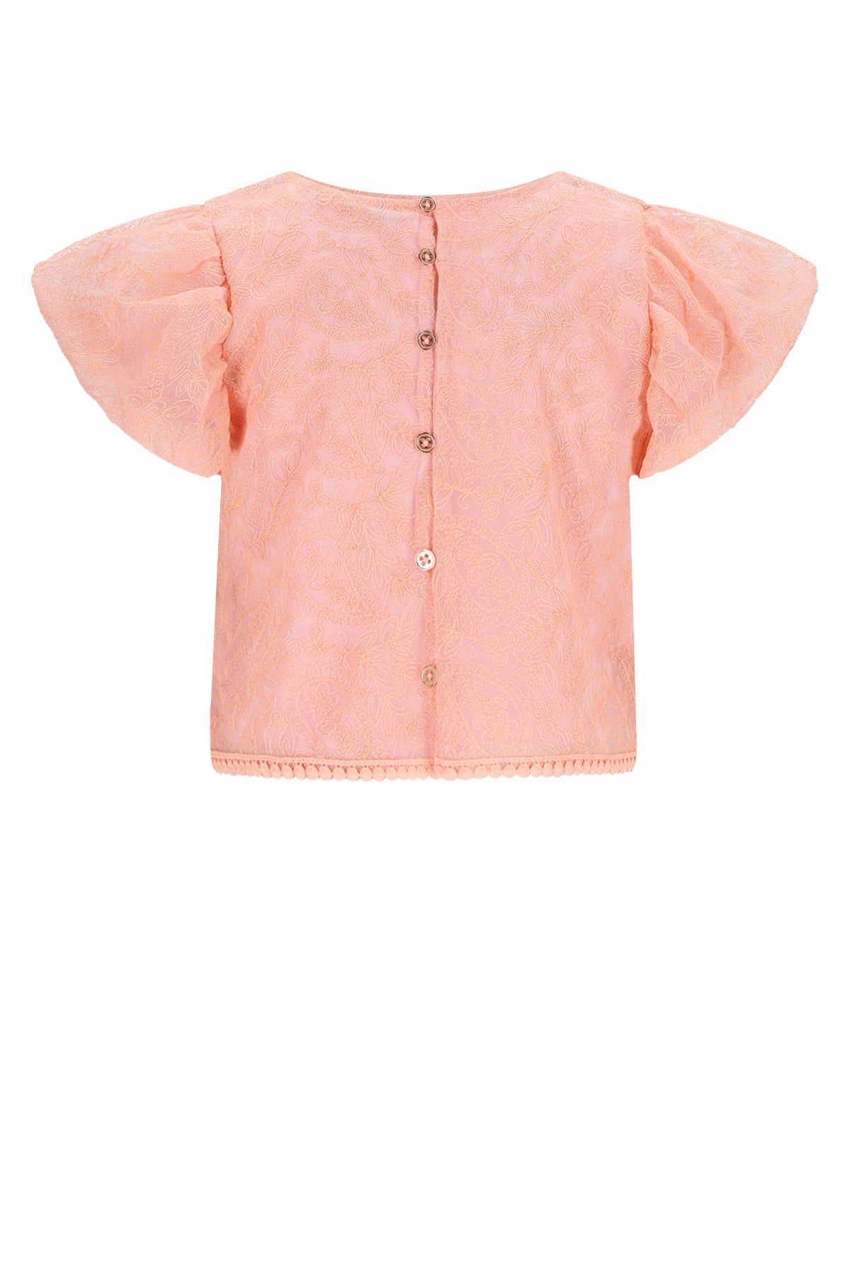 Tessy Embroidered Mesh Top