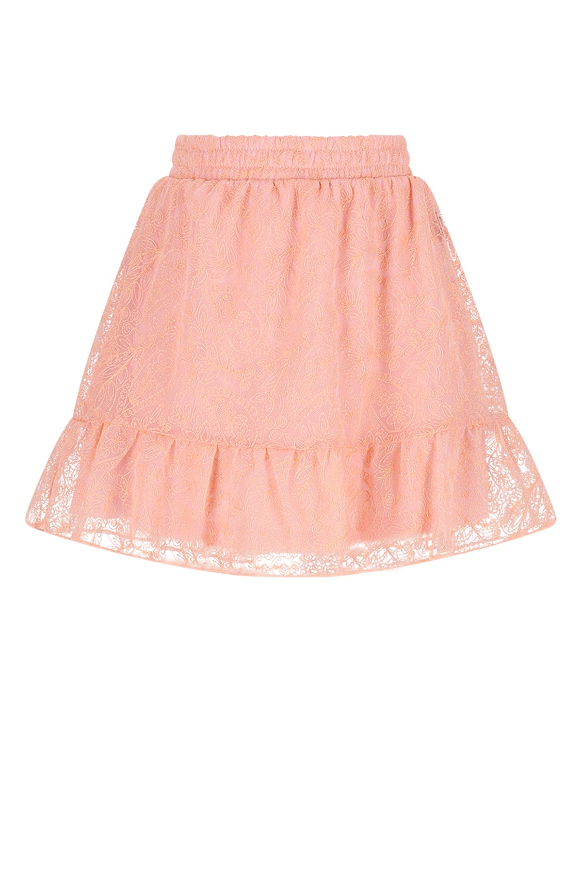 Ninay Embroidered Mesh Skirt