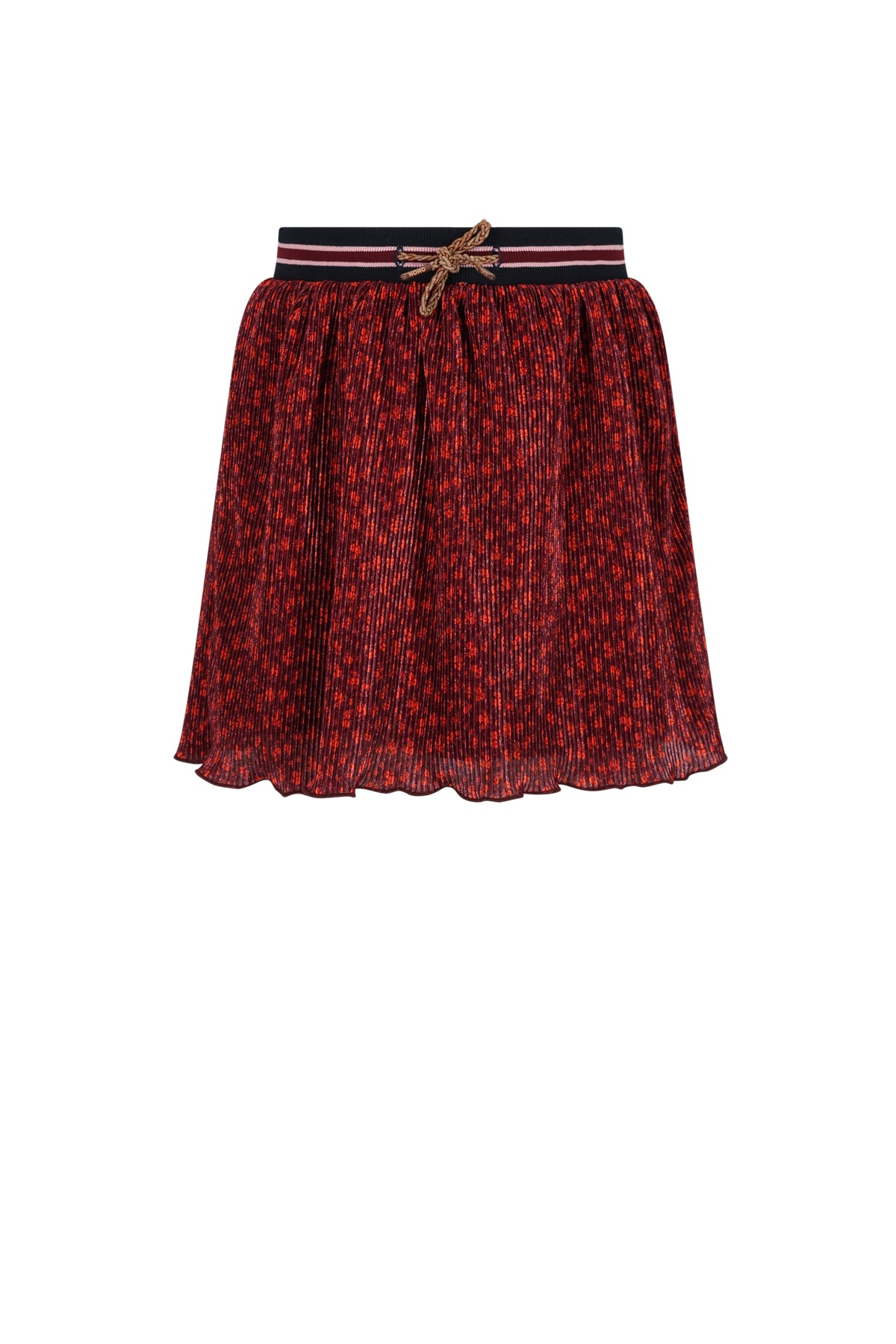 Nima Autumn Flower Plissee Skirt