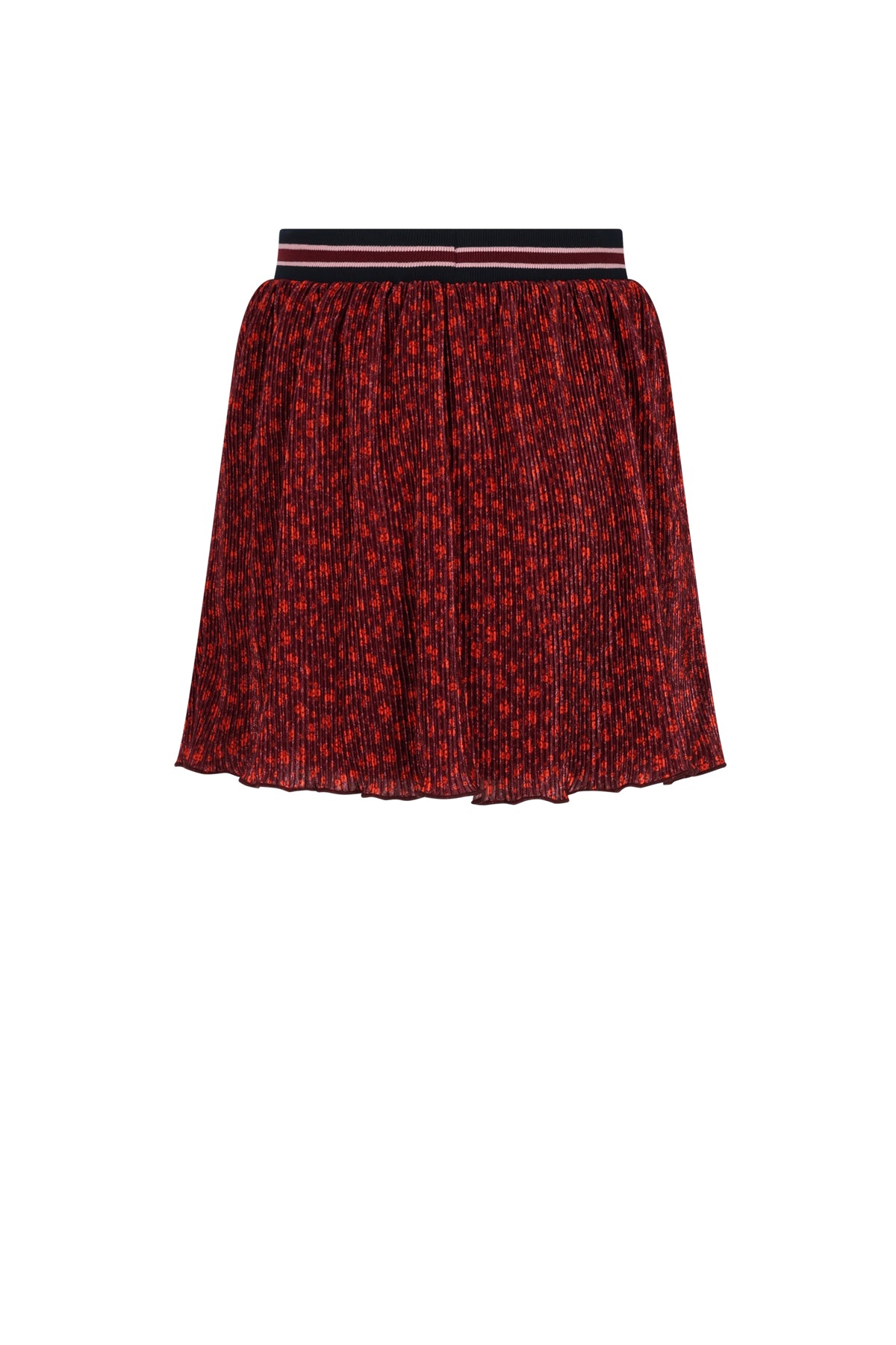 Nima Autumn Flower Plissee Skirt