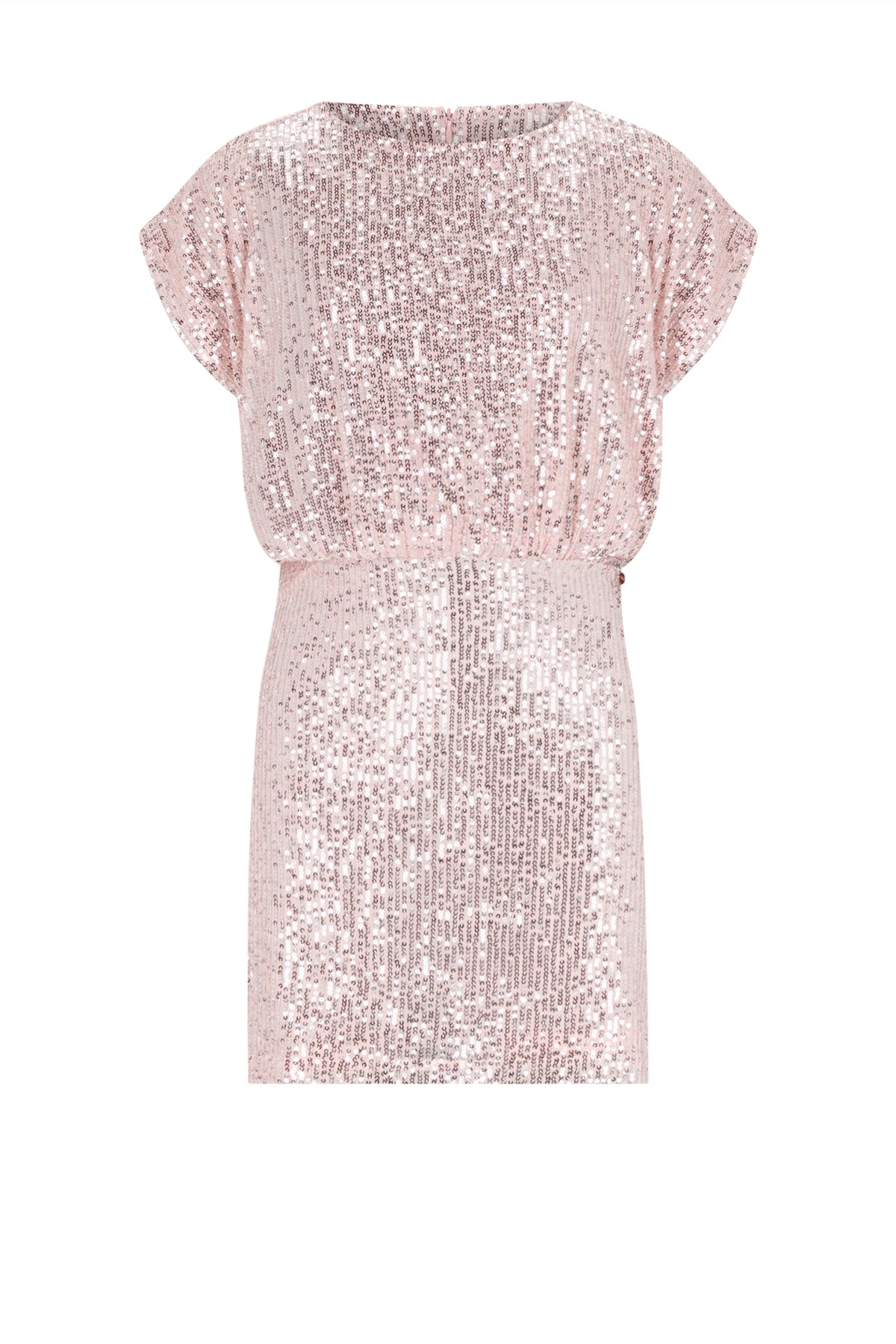 Milah Sequinced Dress
