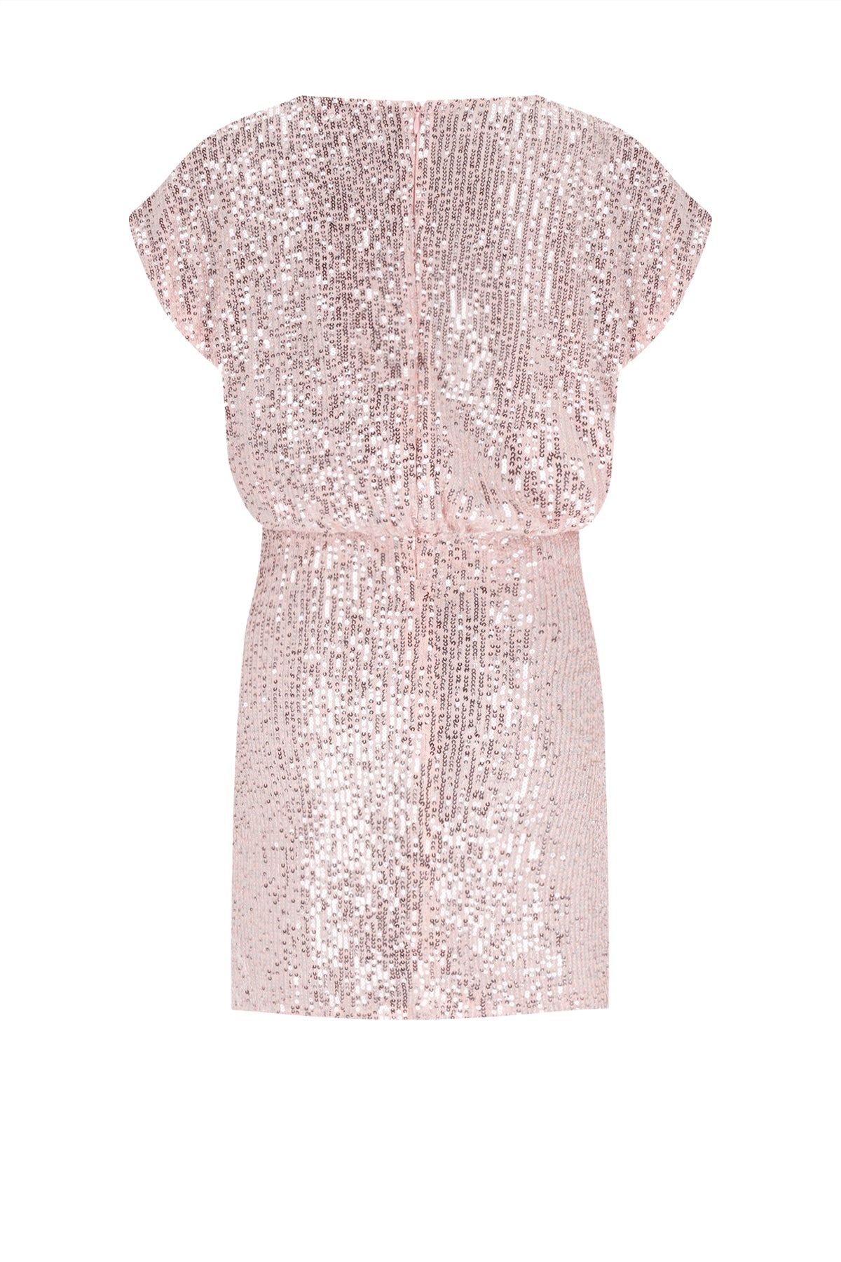 Milah Sequinced Dress