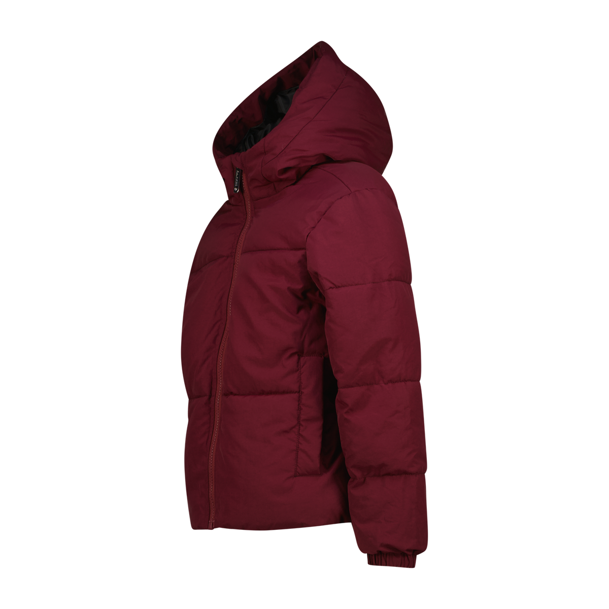 Jazzy Jacket