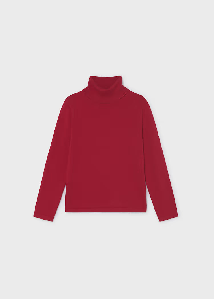 Basic knitting turtleneck