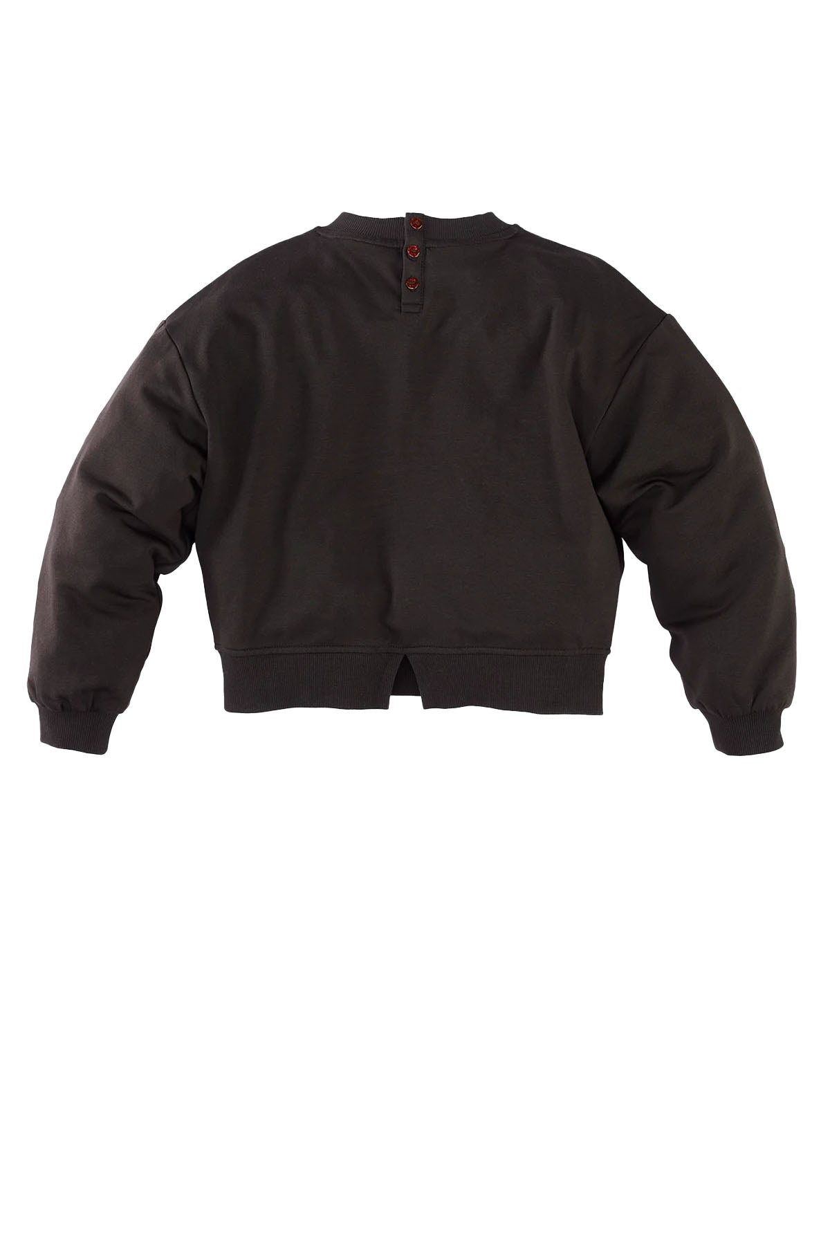 Hazal Chocolate plum Sweater