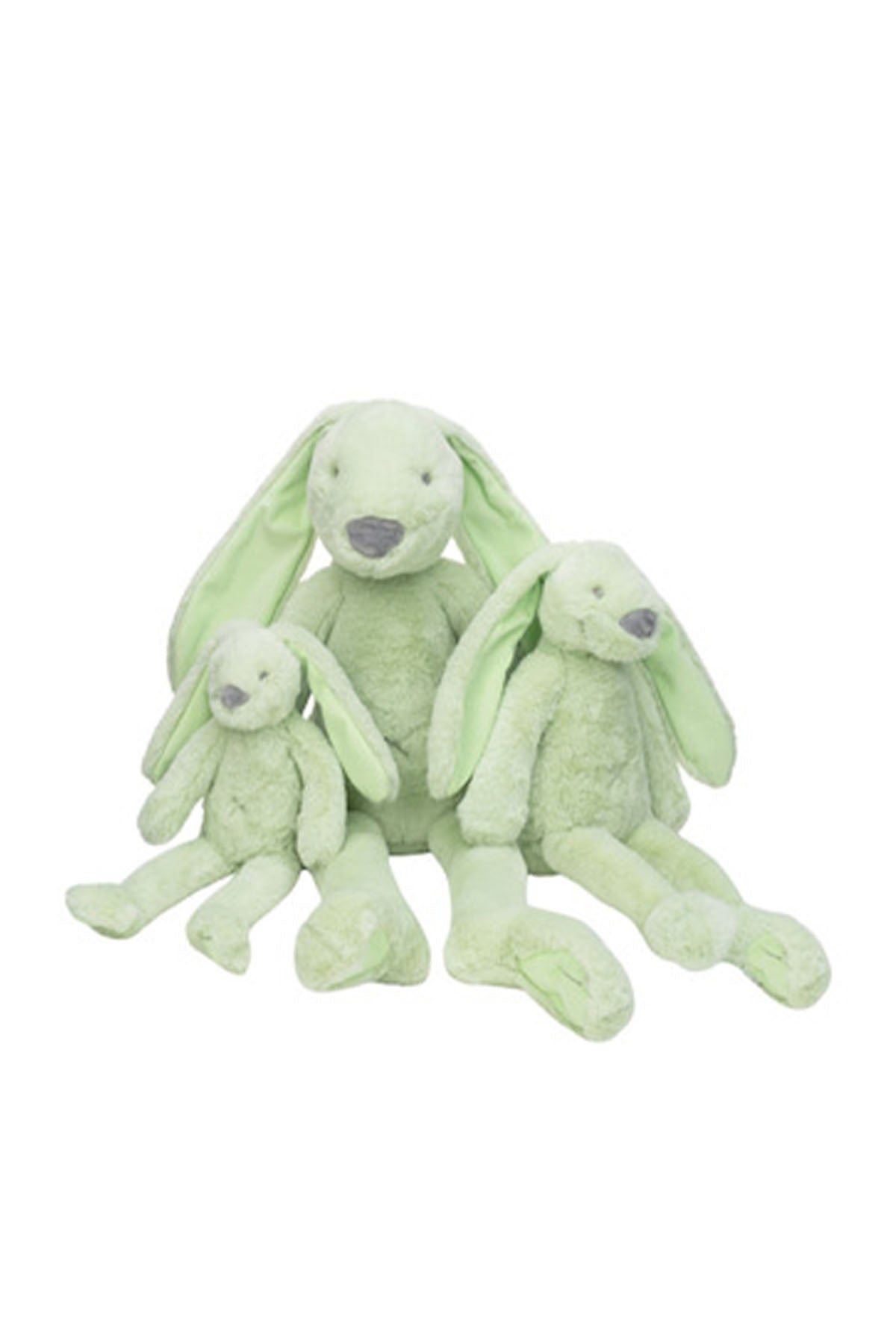 Pistachio Konijn Richie 38cm