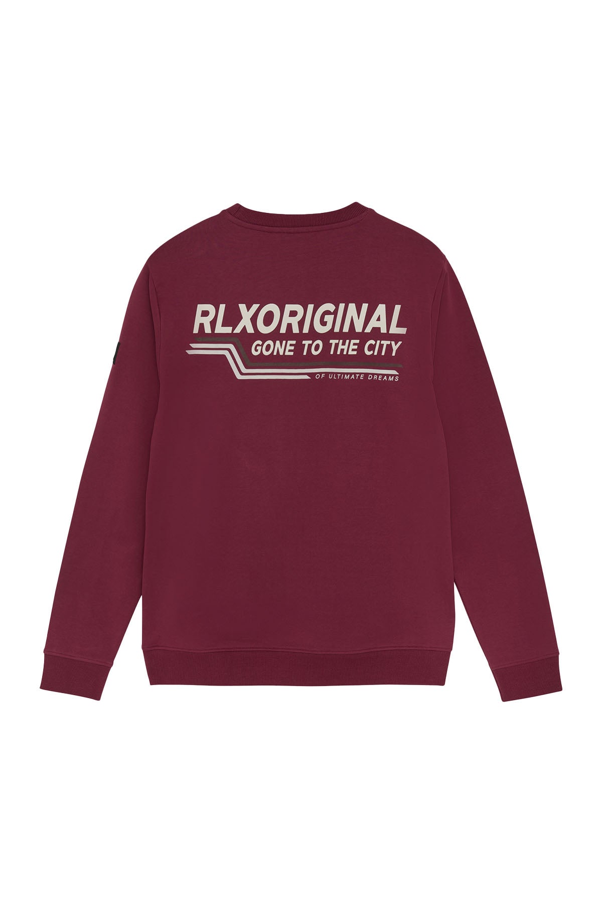 Sweater RLX original