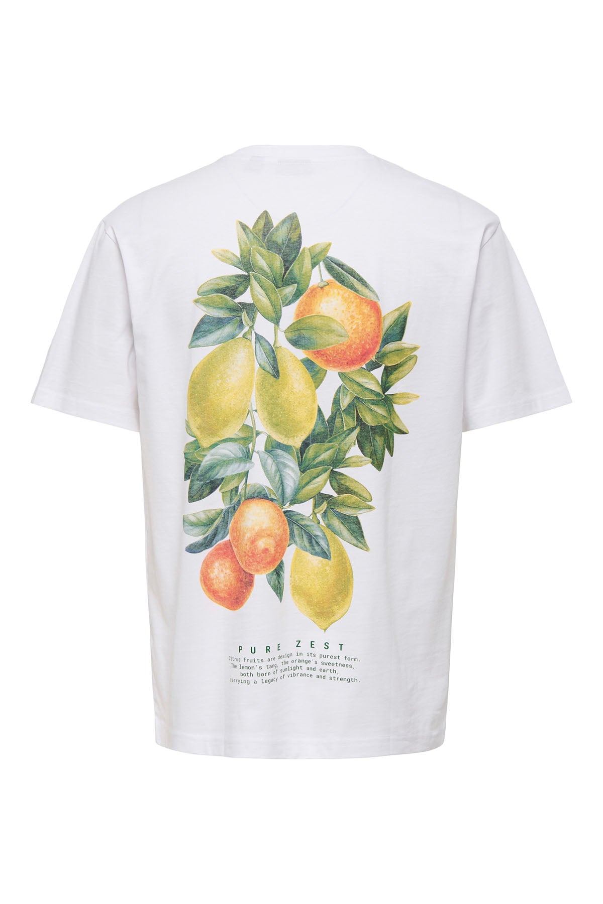 OSJAXEL DORADO LIFE RLX SS TEE