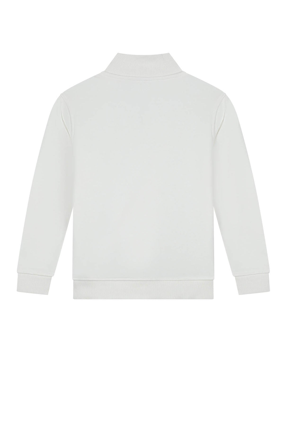 Turtle Half Zip Sweater