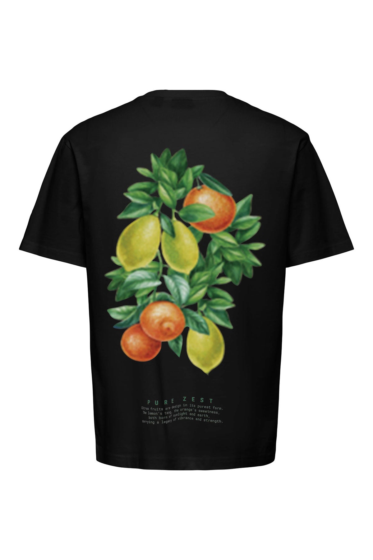 OSJAXEL DORADO LIFE RLX SS TEE