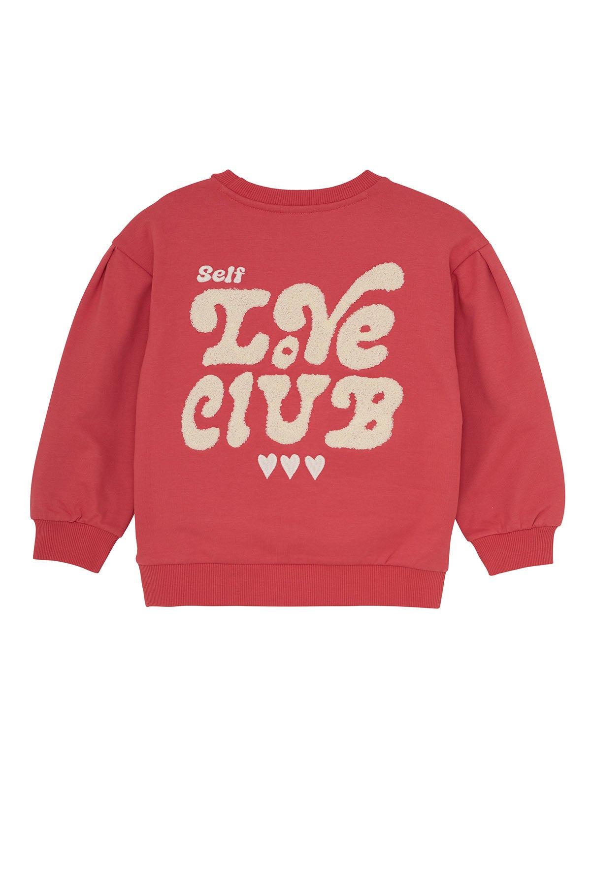 Sweater Brushed Print