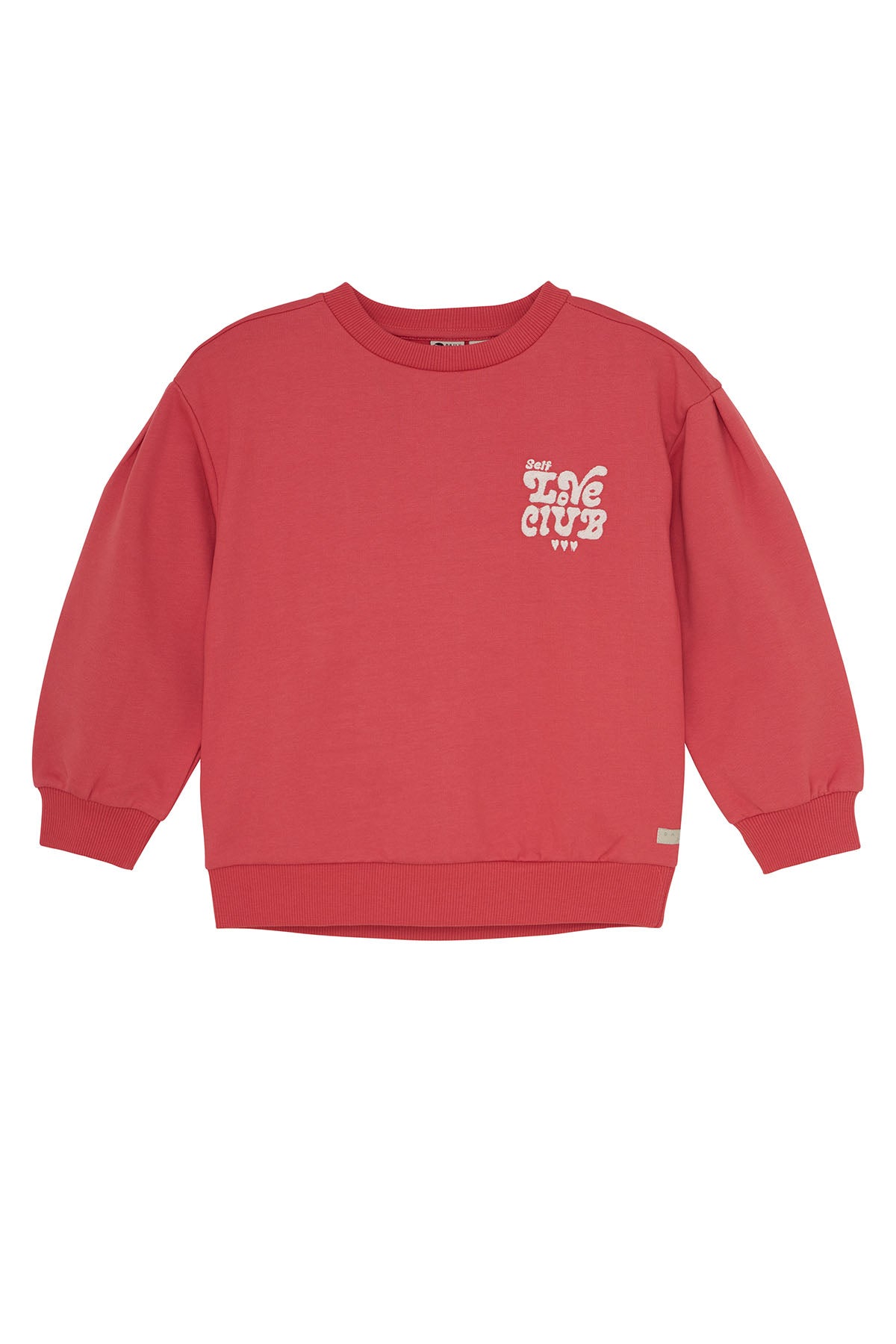 Sweater Brushed Print