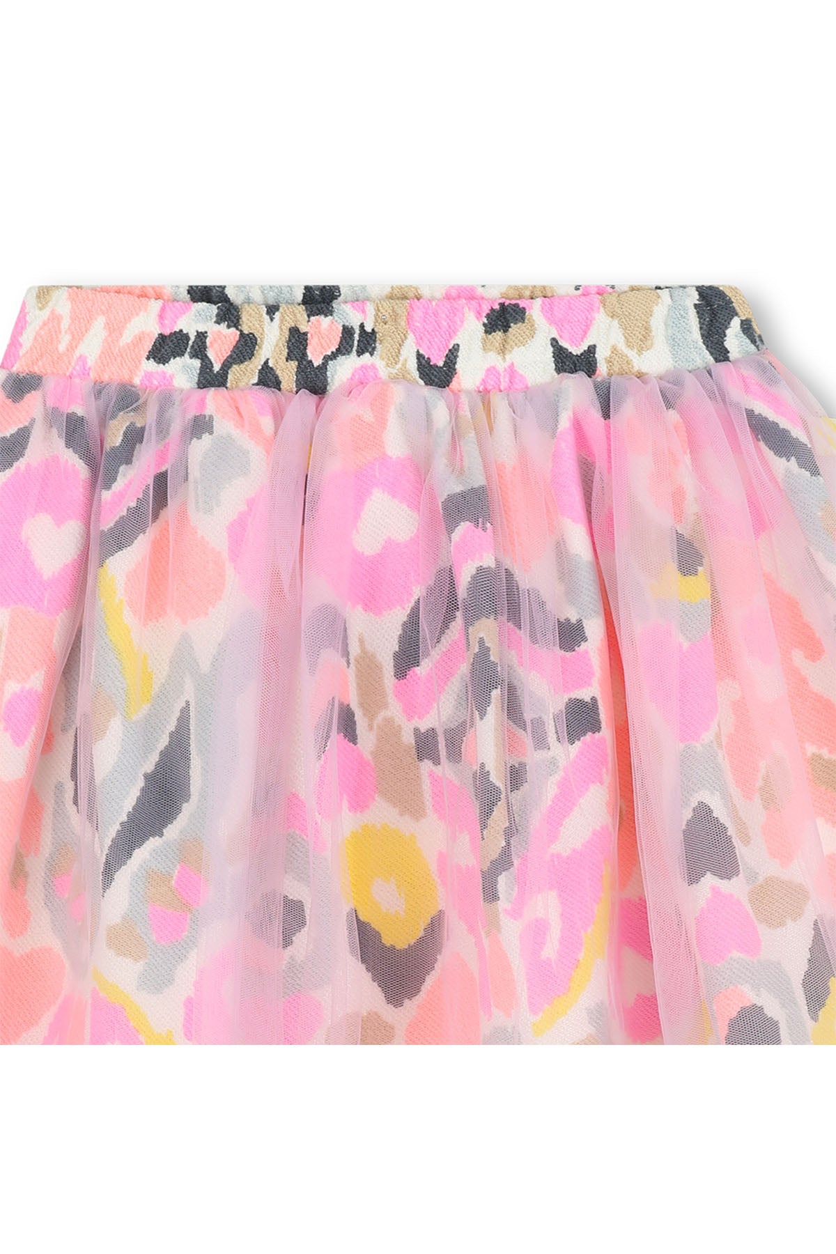 Rok Roze