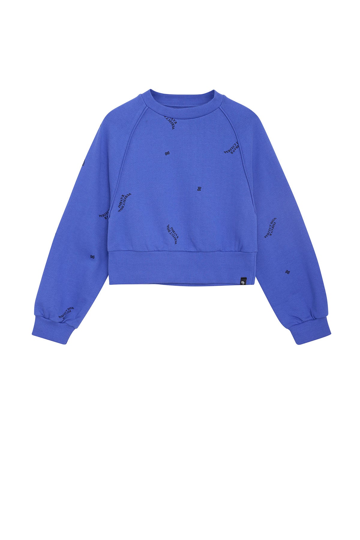 Sweater Raglan