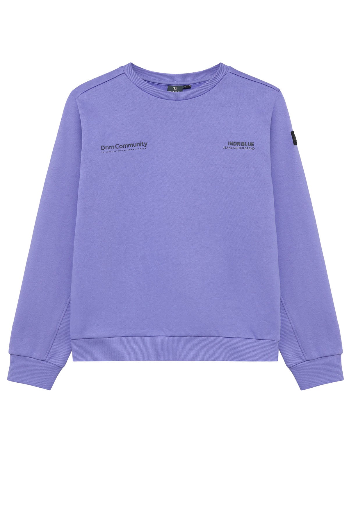 Sweater Indian Chestprint