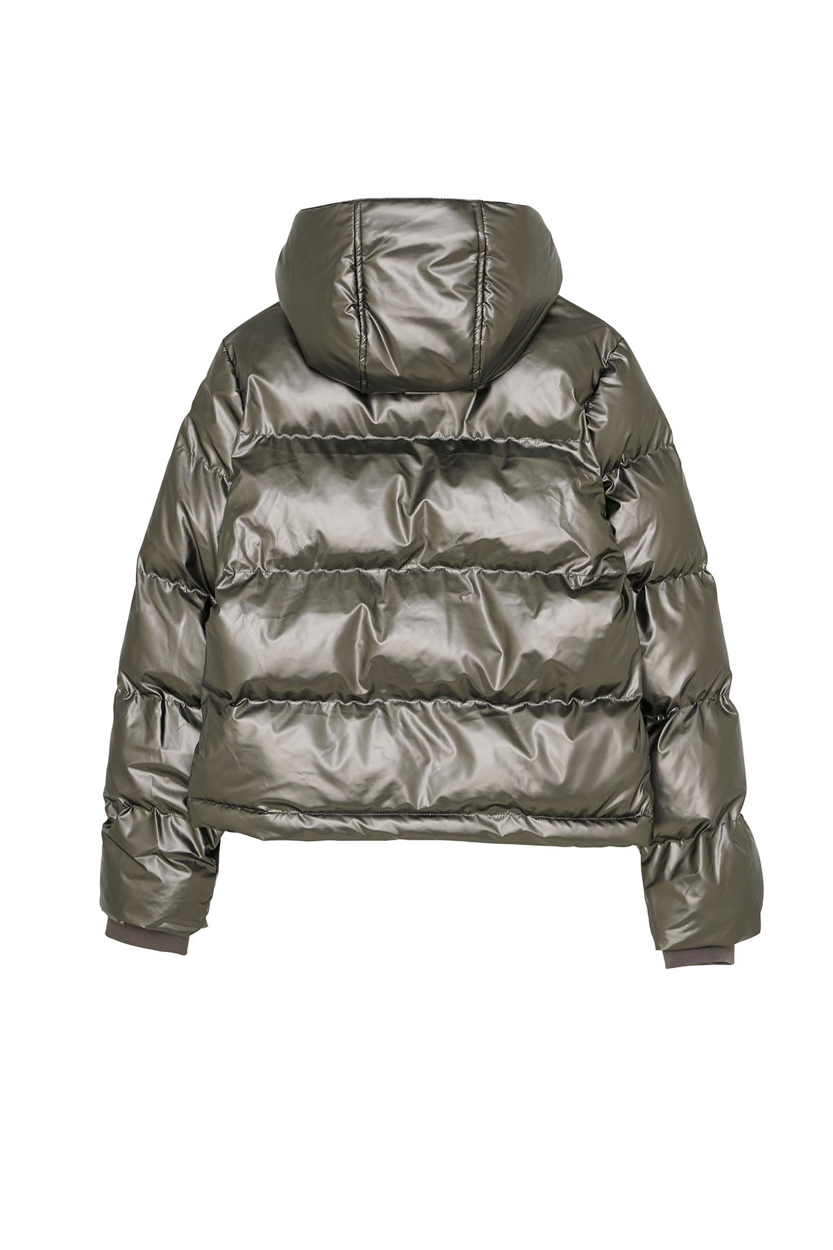 Metallic Jacket