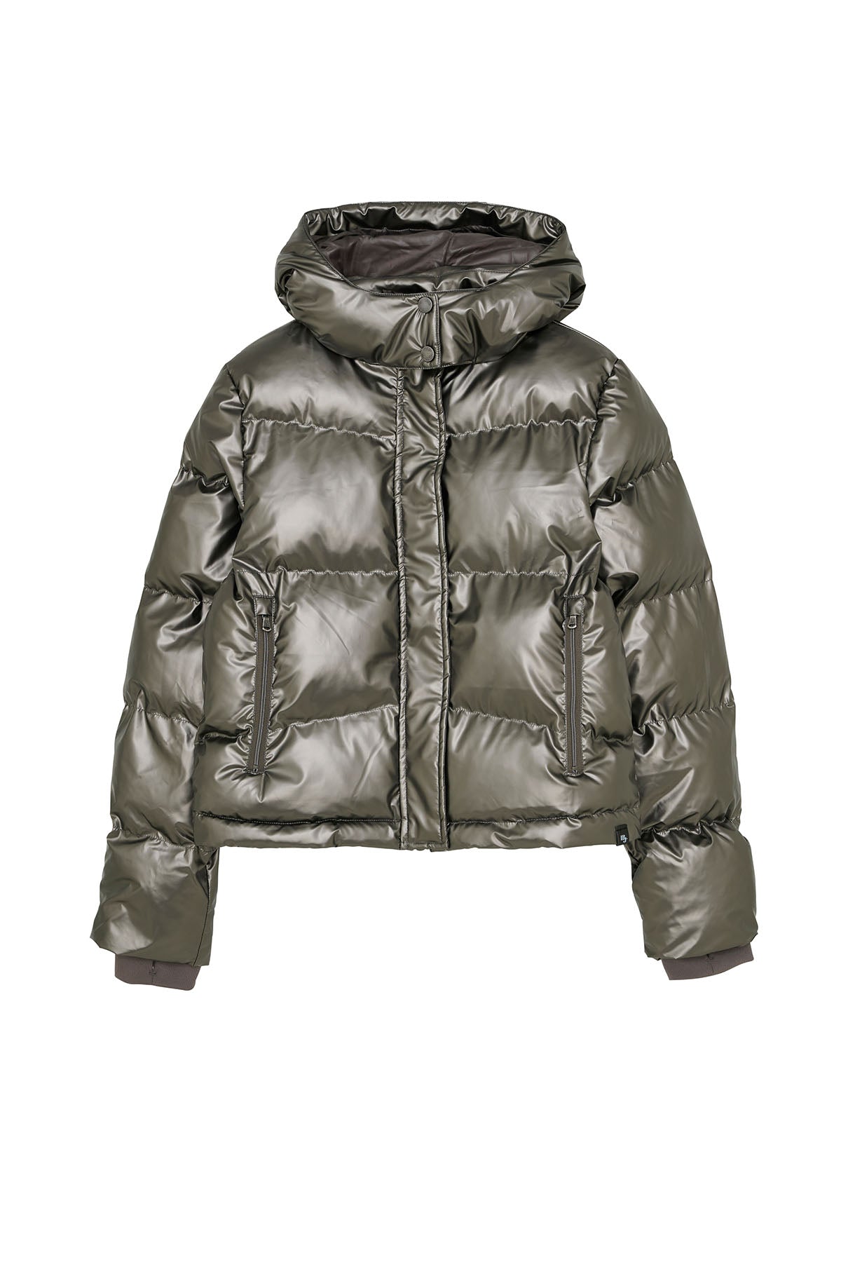 Metallic Jacket