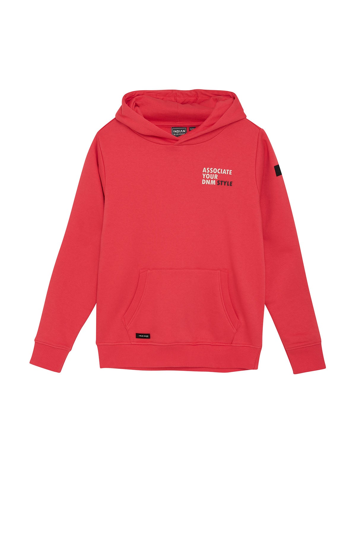 Hoodie IBJ