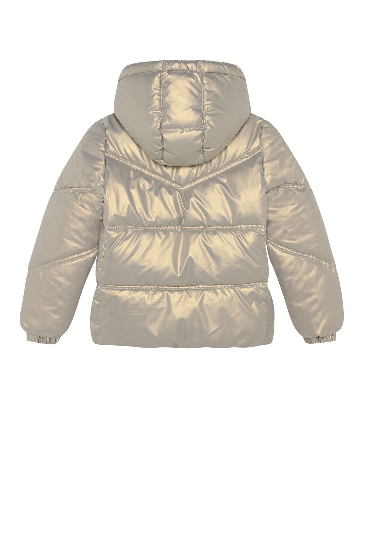 Metallic Jacket