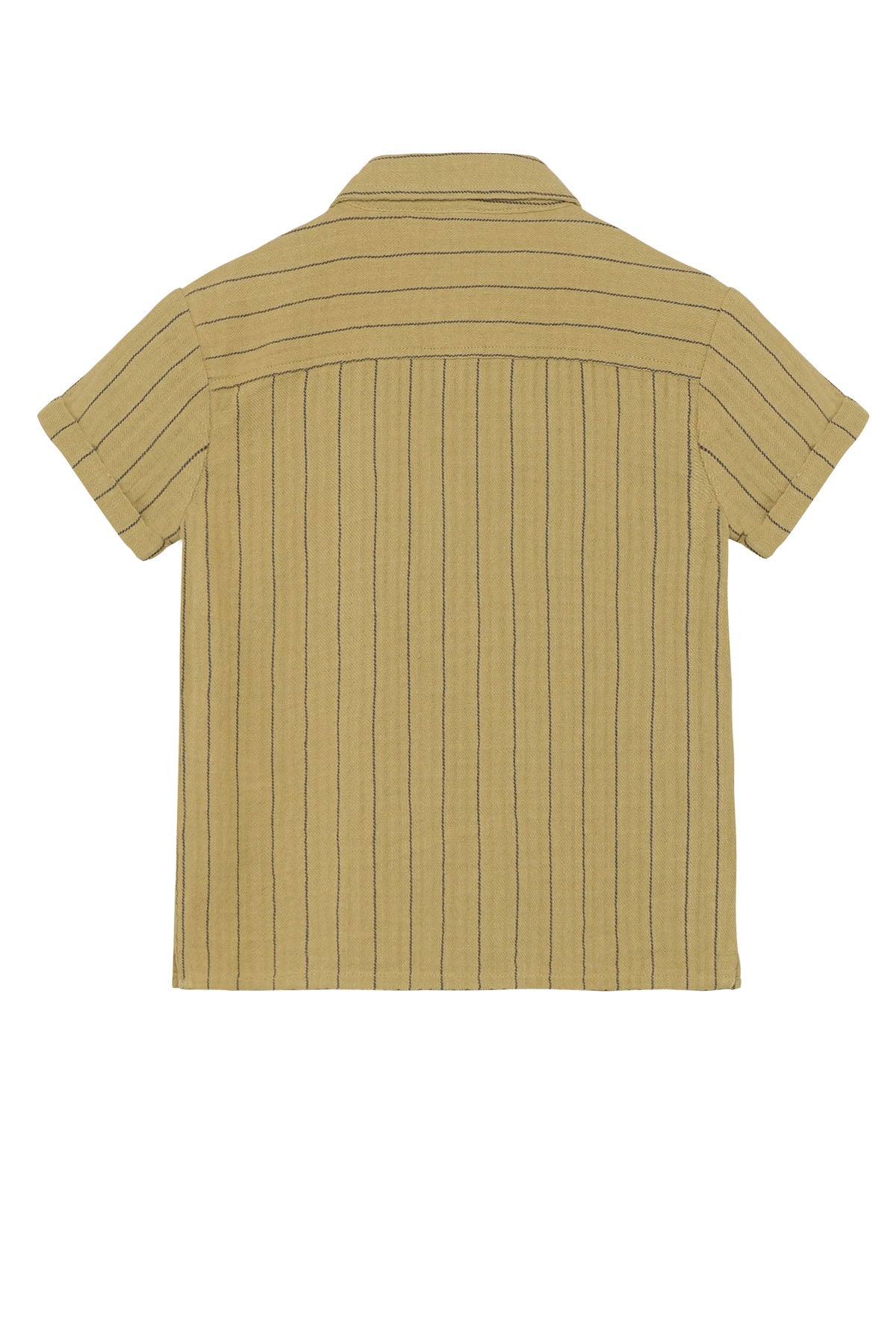 Shirt Small Stripe
