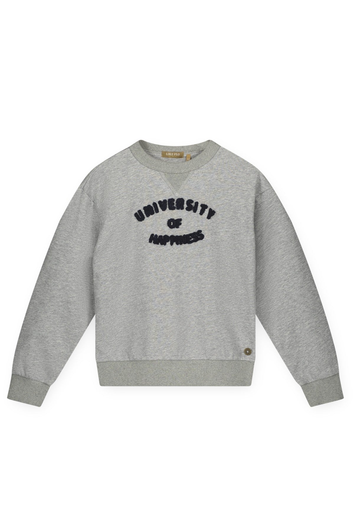 Demi Like Flo Tiener sweater, grijs, meisjeskleding, opdruk university of happiness