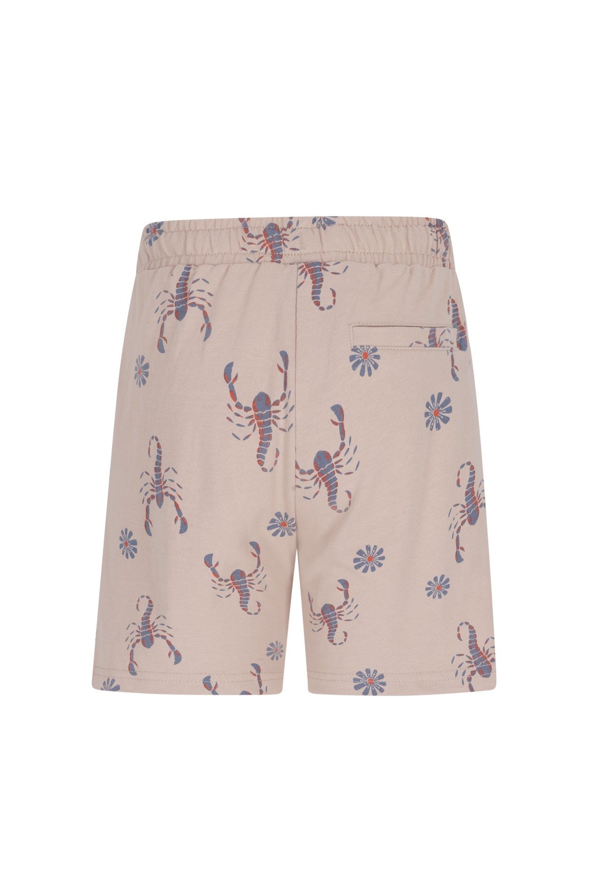 Freddie Flo boys heavy jersey AO short