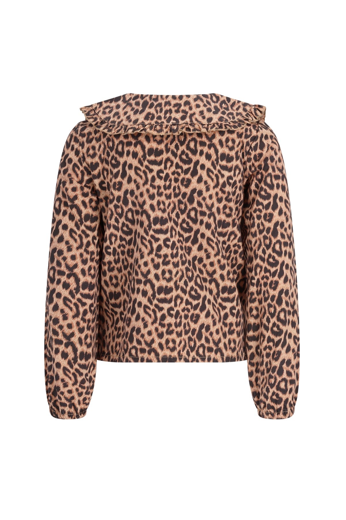 Celine chambrey blouse with collar