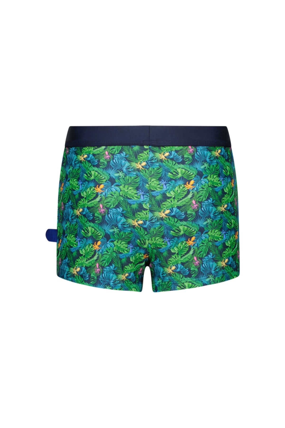 Nevada swimshort Ocean Life