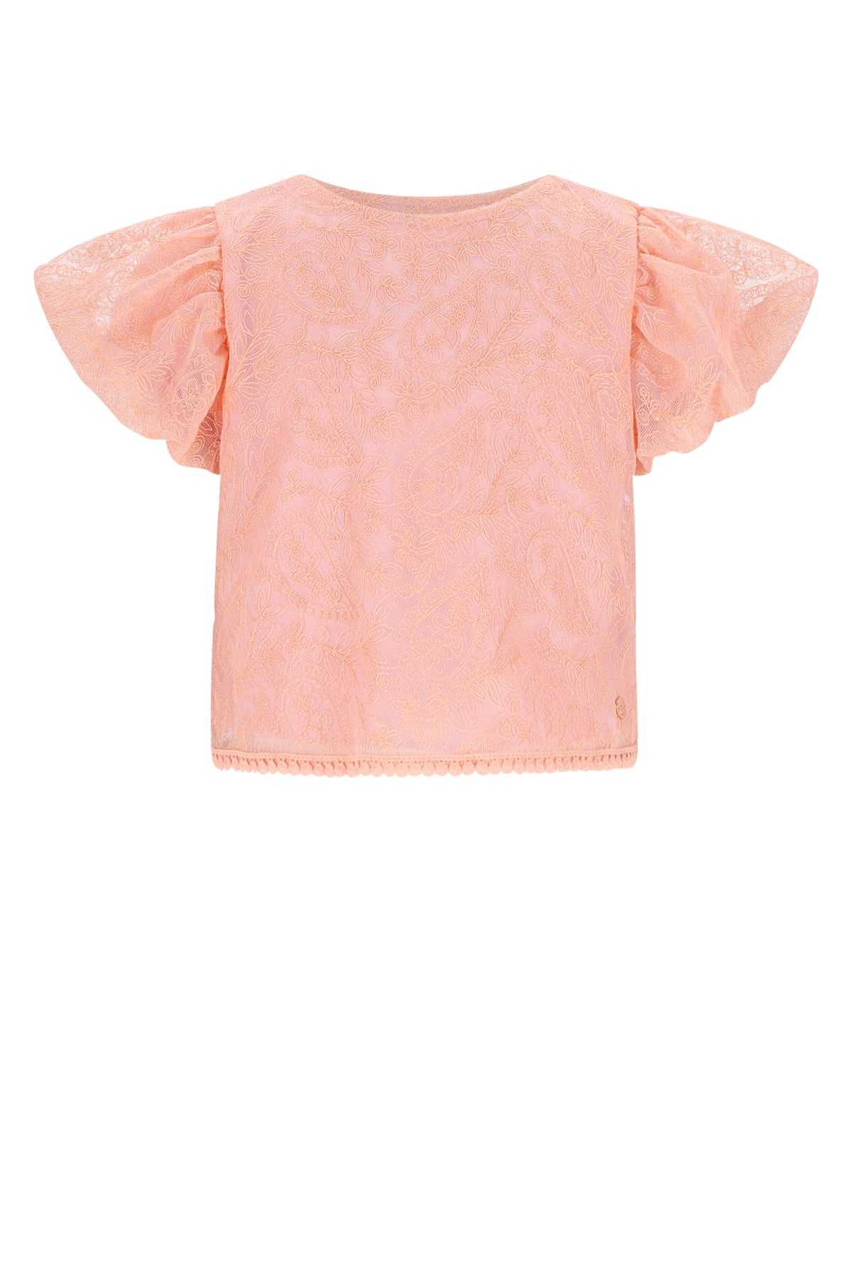Tessy Embroidered Mesh Top