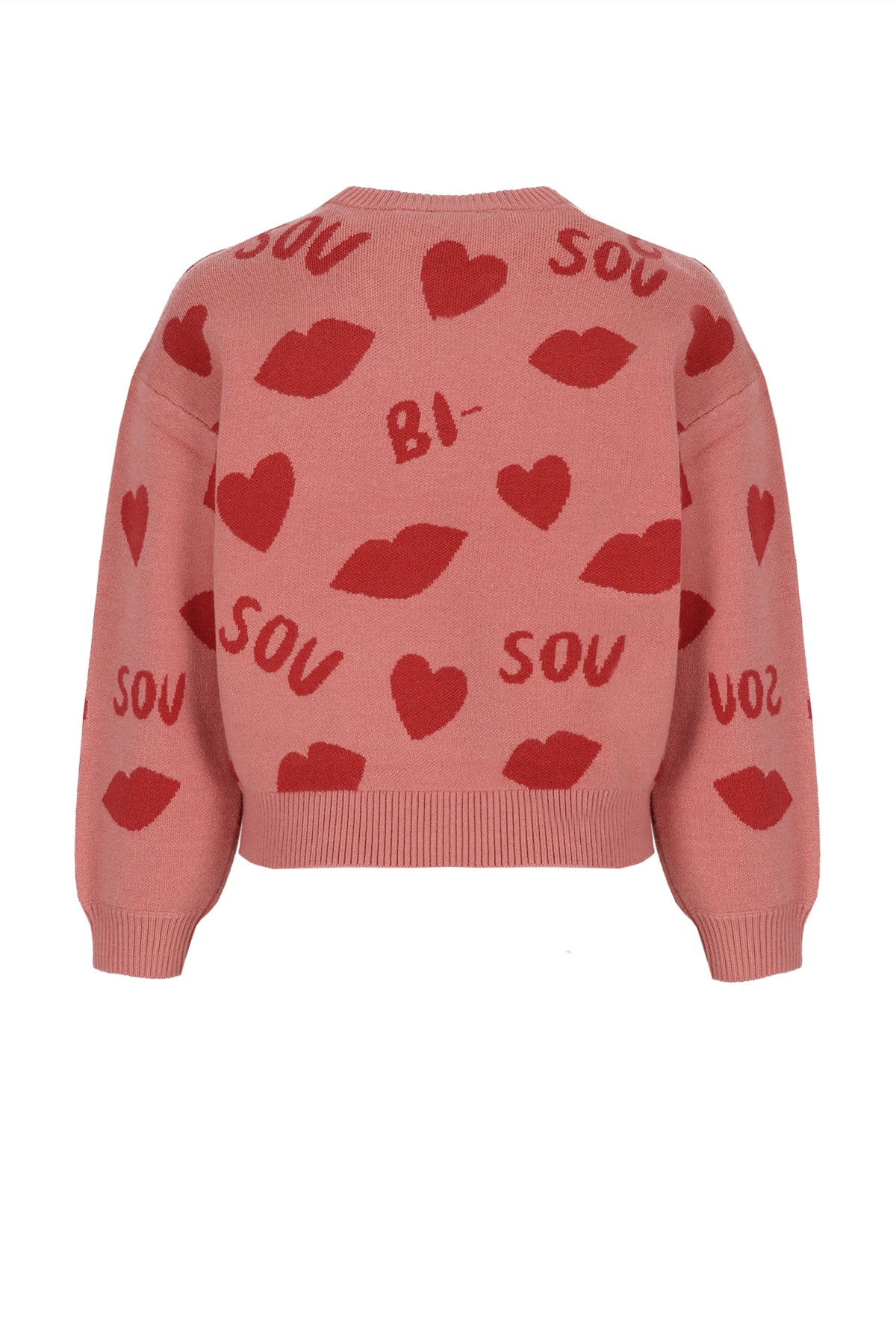 Katie Jacquard BISOU Knitted Sweater