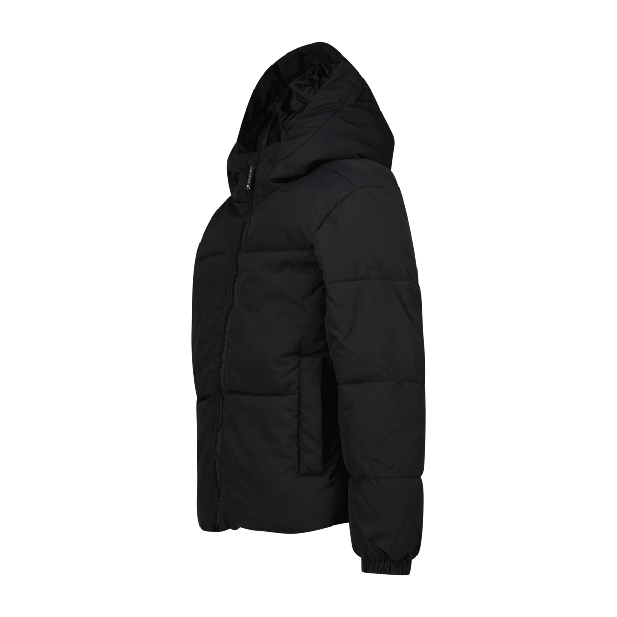 Jazzy Jacket